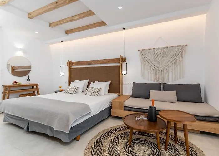 斯皮罗斯酒店 4* Naxos City