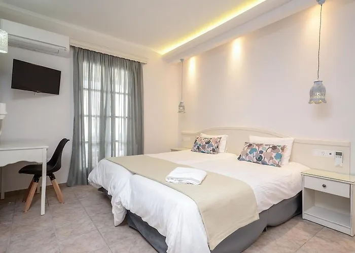 斯皮罗斯酒店 4* Naxos City