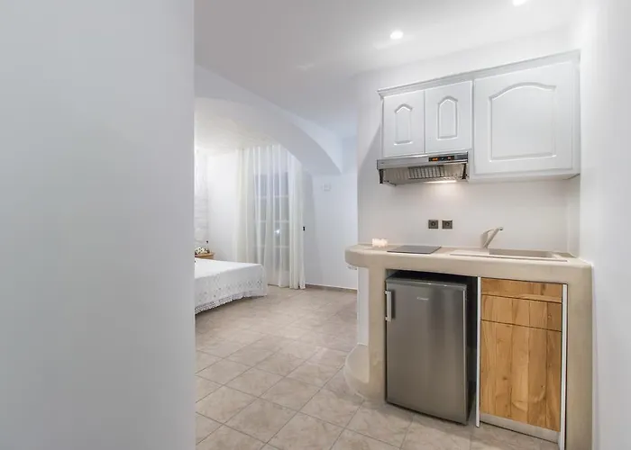 斯皮罗斯酒店 4* Naxos City